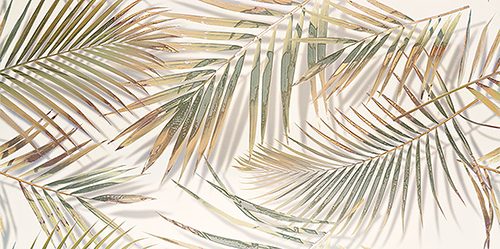Misteria palm