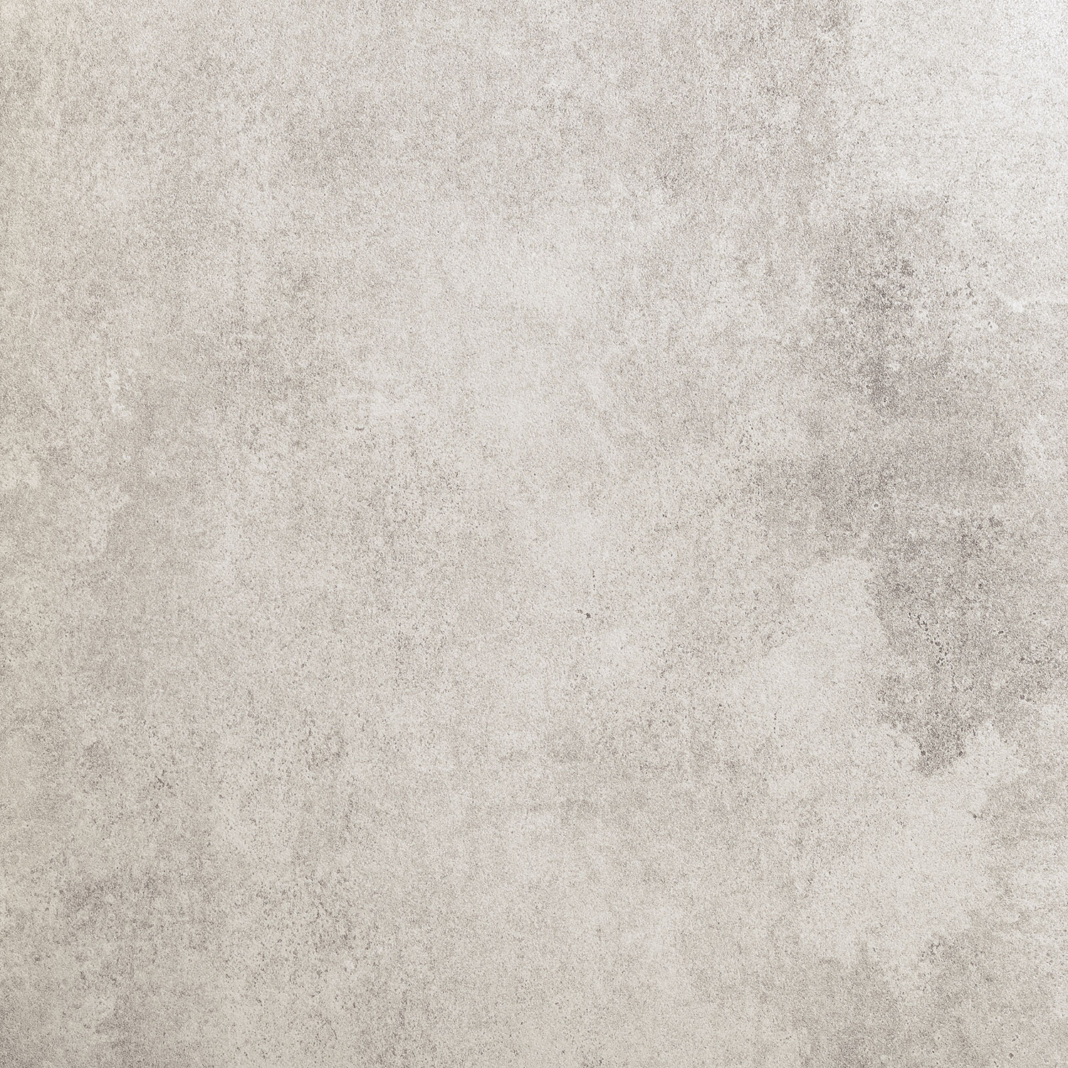 Grey Stain LAP
